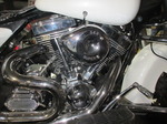 IMG_5528.JPG